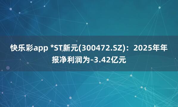 快乐彩app *ST新元(300472.SZ)：2025年年报净利润为-3.42亿元