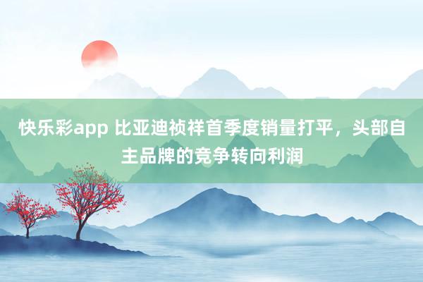 快乐彩app 比亚迪祯祥首季度销量打平，头部自主品牌的竞争转向利润
