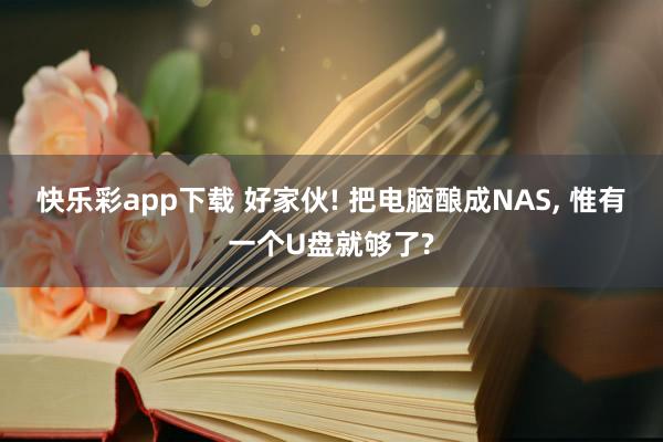 快乐彩app下载 好家伙! 把电脑酿成NAS， 惟有一个U盘就够了?