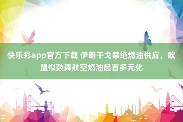 快乐彩app官方下载 伊朗干戈禁绝燃油供应，欧盟拟鼓舞航空燃油起首多元化